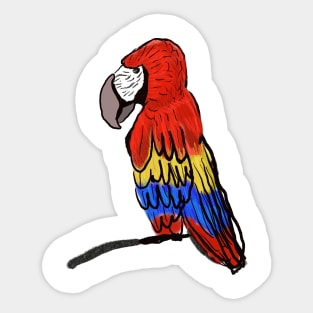 Macaw Rainbow Parrot Sticker